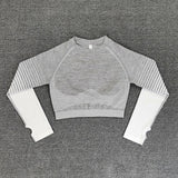 Crop Top Leggings Gym Sets